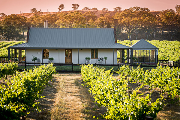 Brokenchack vineyard