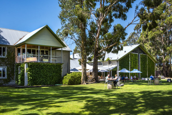 cloudy bay vineyards