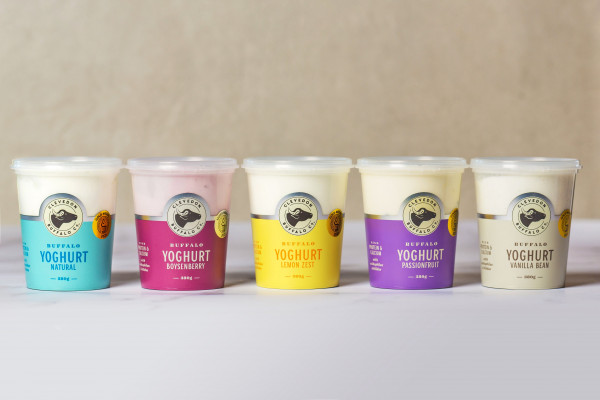 Clevedon Buffalo co yoghurt range