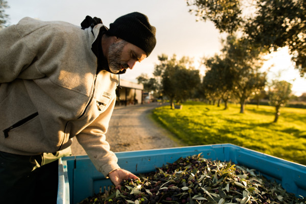 Geoff from Telegraph Hill