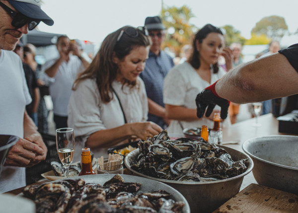 Advintage Oyster &amp;amp;amp;amp;amp;amp;amp;amp;amp;amp;amp;amp;amp;amp;amp;amp;amp;amp;amp;amp;amp;amp; Whitebait Street Bar