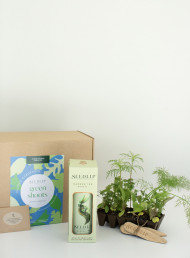 From Garden to Garnish: Seedlip’s Budding New Partnership