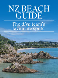 Our Favourite Beaches in New Zealand