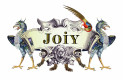 JOIY