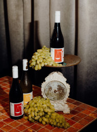 Bilancia Brings Hawke’s Bay to Esther for One Night Only