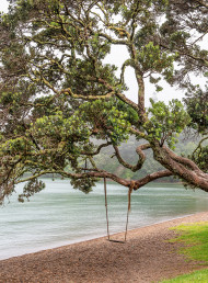 Where to Eat and Drink in Russell