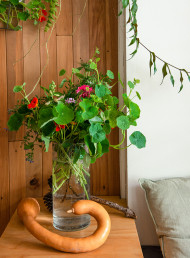 Explore Auckland's Top Plant-Centric Food Spots