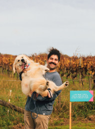 Discover Wine Dogs Festival this April!