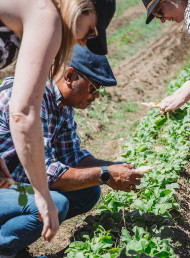 Forage & Feast: The Wanaka business putting local producers in the spotlight