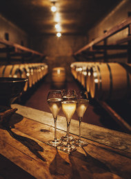 Delicious Winter F.A.W.C! Events For Your Savouring