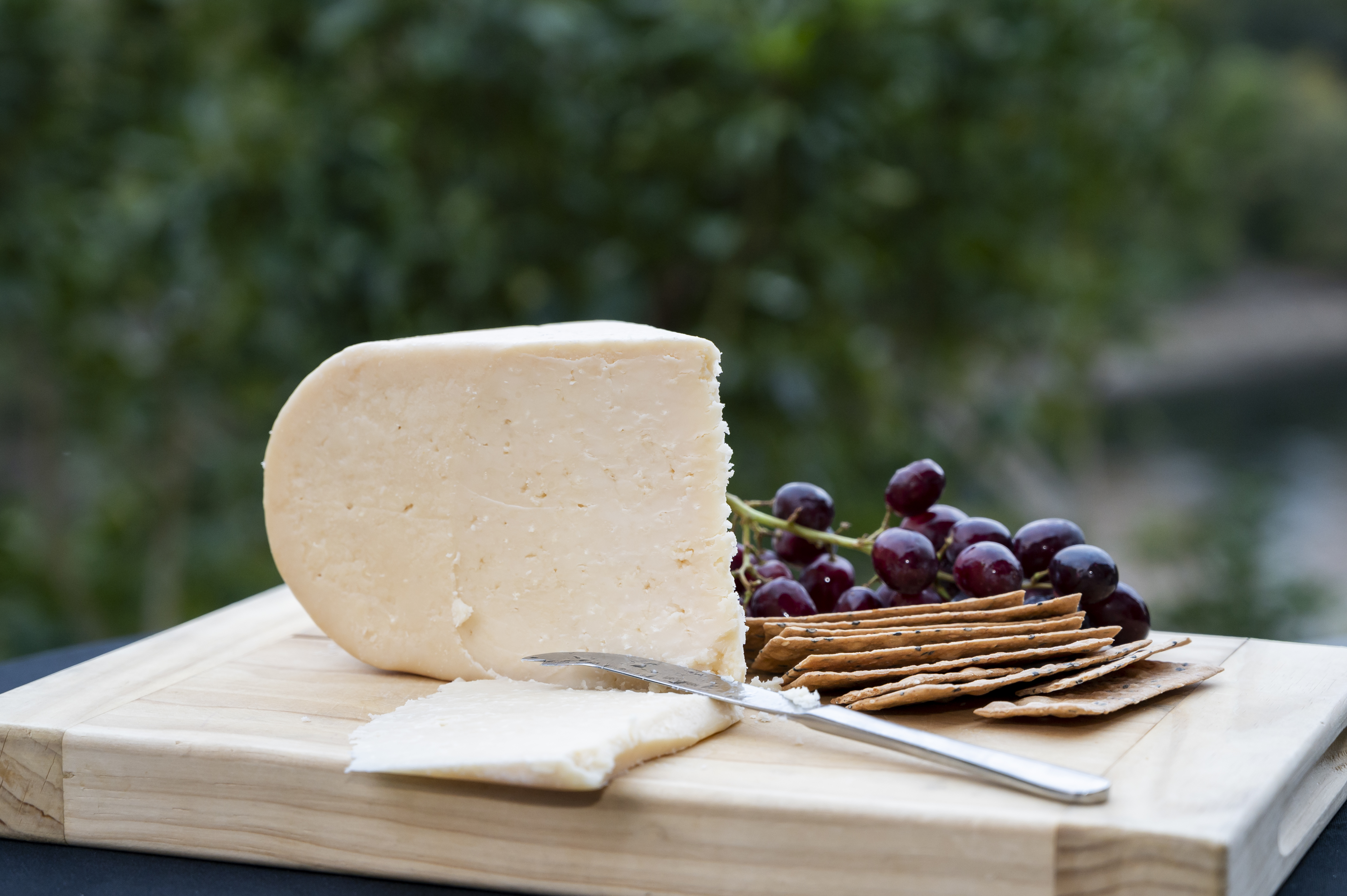 Geraldine aged deer gouda