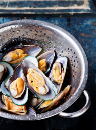 Cooking with: shellfish