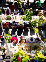 Summer F.A.W.C! 2017