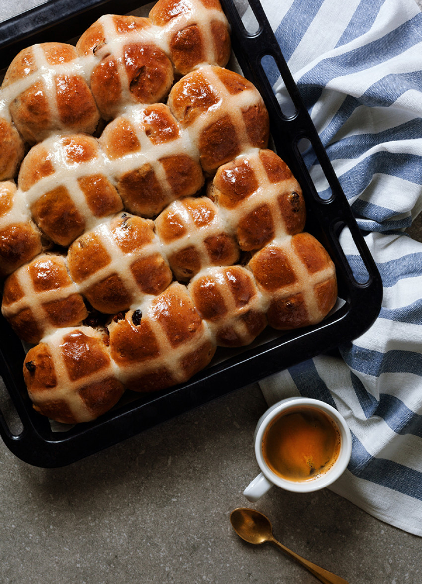 The Great dish Bun Run: Auckland