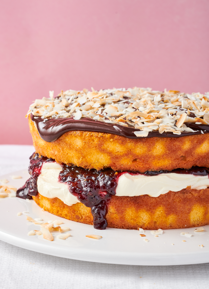 Chocolate Lamington Cake