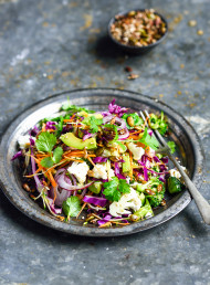 I am Salad, Hear Me Raw