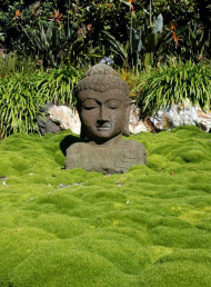 Waiheke Garden Festival 2017