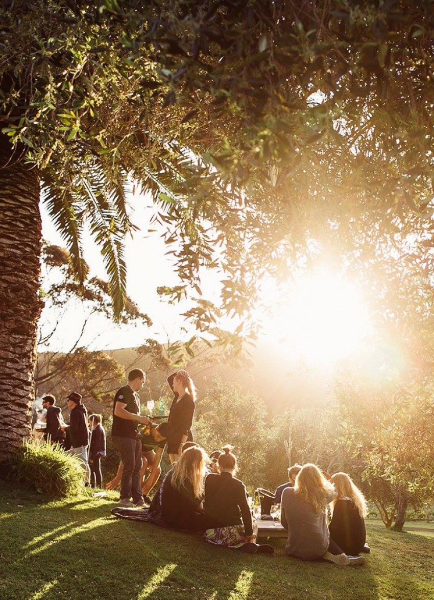 Waiheke Jazz, Art & Music Festival