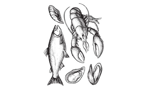 seafood illustration